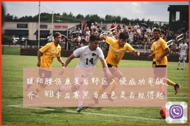 暖阳腰伤康复后野区入侵成功率飙升，WB季后赛黑马成色是否经得起考验？
